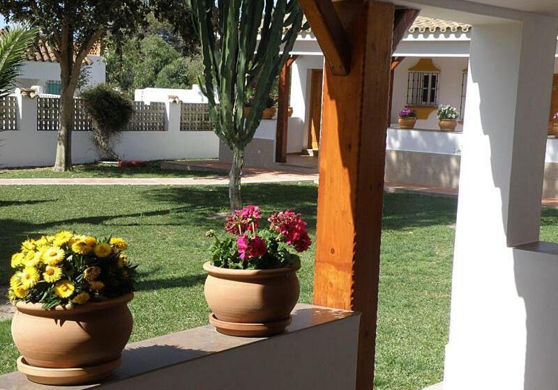 Отель Hostal Las Acacias