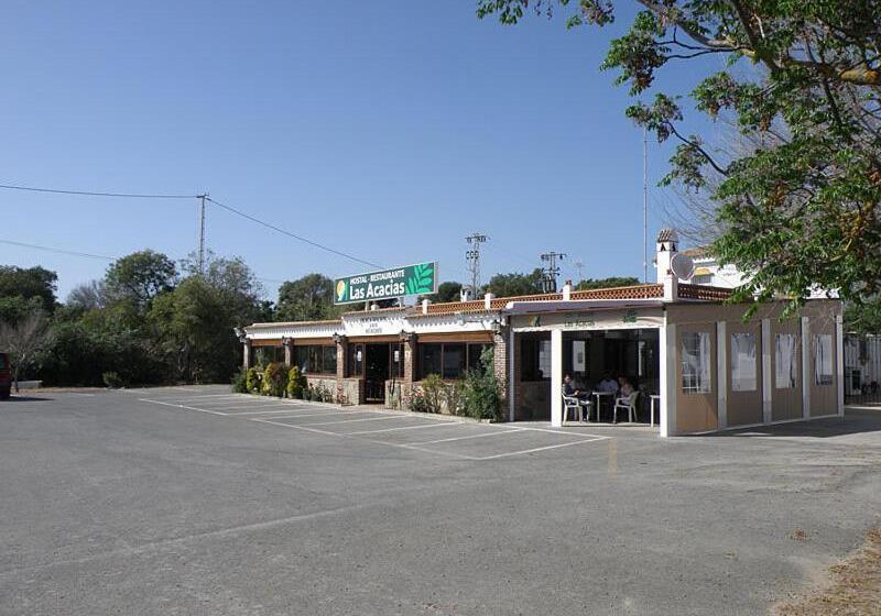 Отель Hostal Las Acacias