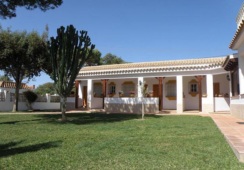 Отель Hostal Las Acacias