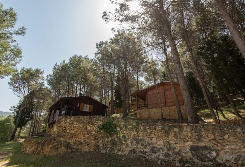 בית מלון כפרי Molí L  Abad