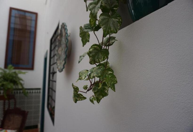 호텔 Montserrat Casa Del Mar