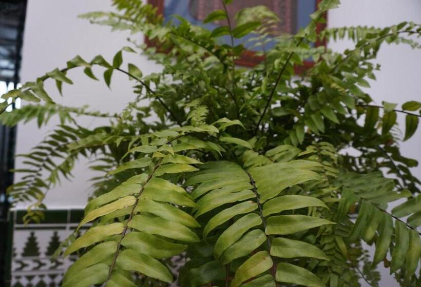 호텔 Montserrat Casa Del Mar