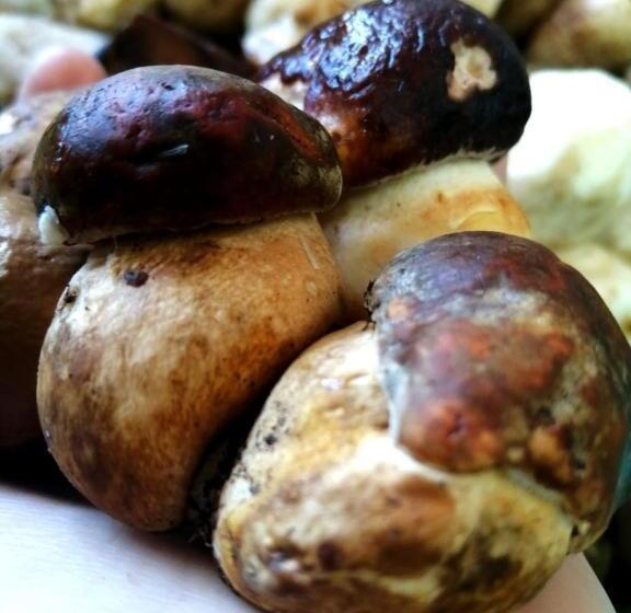 בית מלון כפרי Pension Uxarte