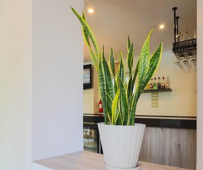 فندق ريفى Tugasa El Almendral