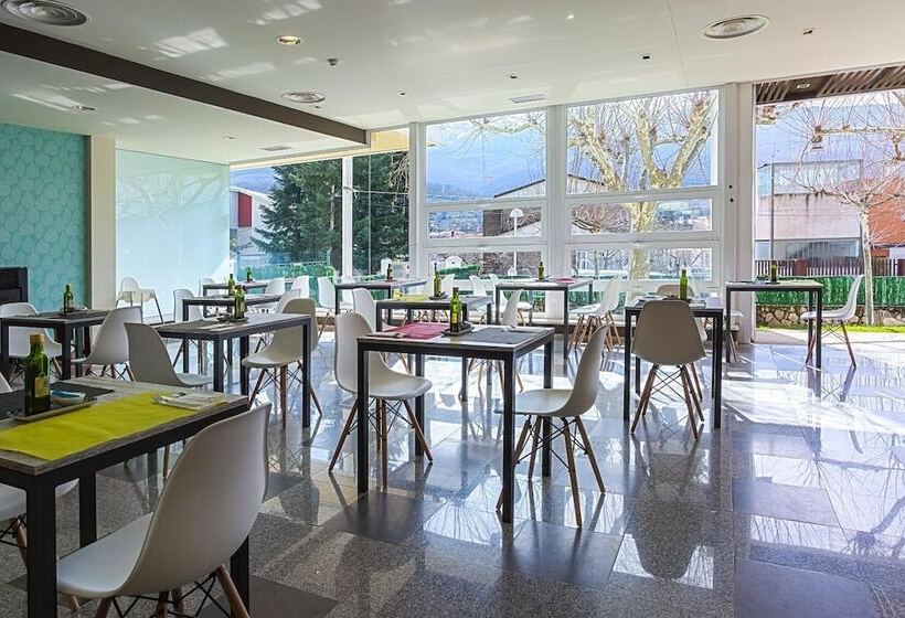 Отель Spa Sinagoga