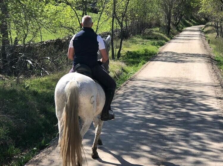 Отель Spa Sinagoga