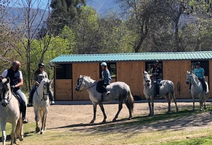 Отель Spa Sinagoga