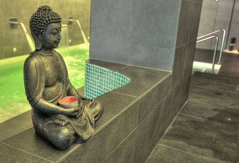 Отель Spa Sinagoga