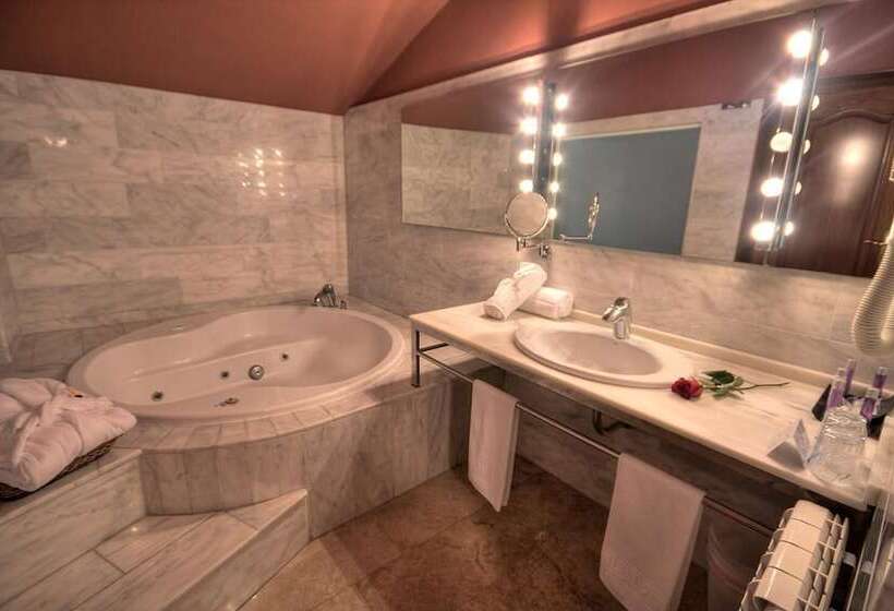 Отель Spa Sinagoga