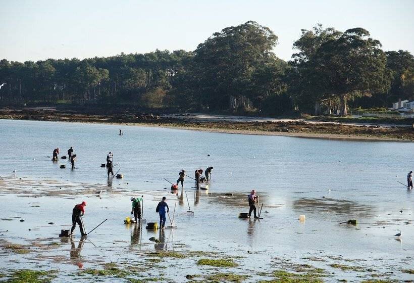 בית מלון כפרי Villa Juanita