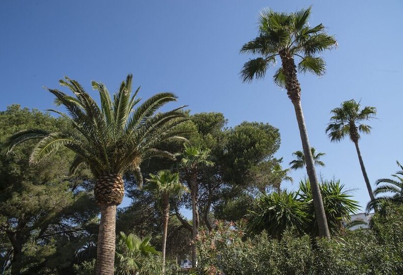 Aparthotel Pierre & Vacances Mallorca Cecilia