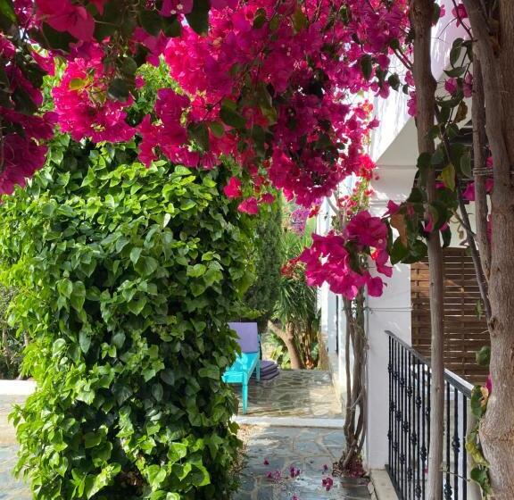 Buenavista Suites Hotel Boutique