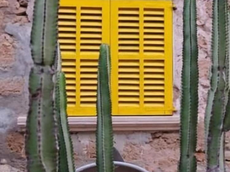 Hostal Catalina Vera