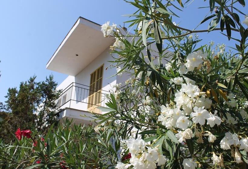 Hostal Catalina Vera