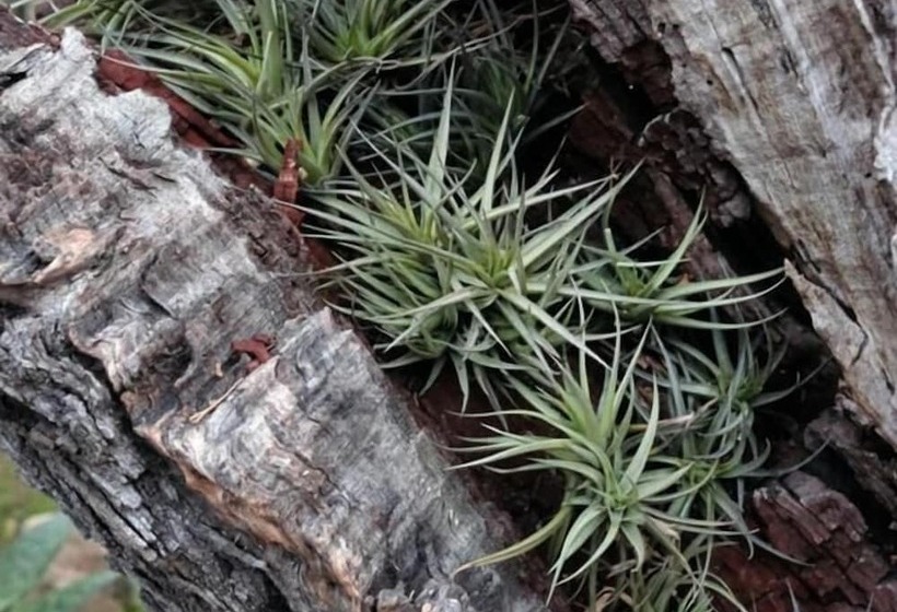 Hostal Catalina Vera