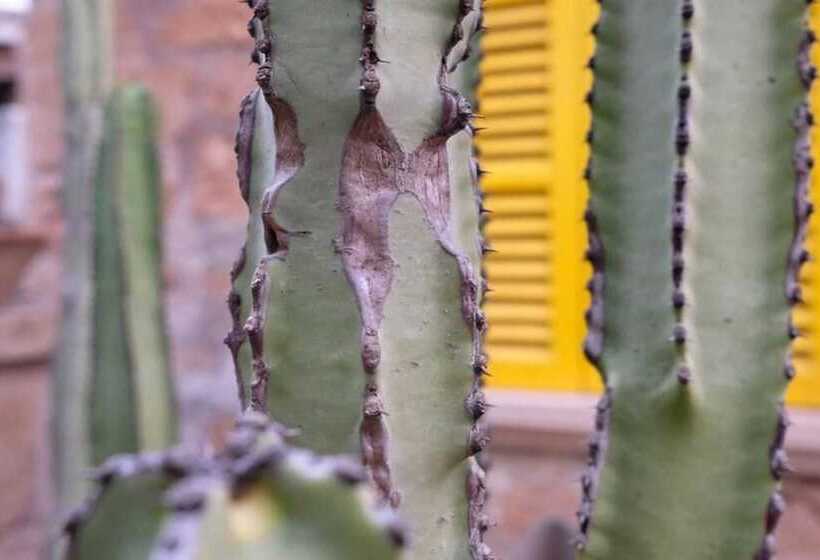 Hostal Catalina Vera