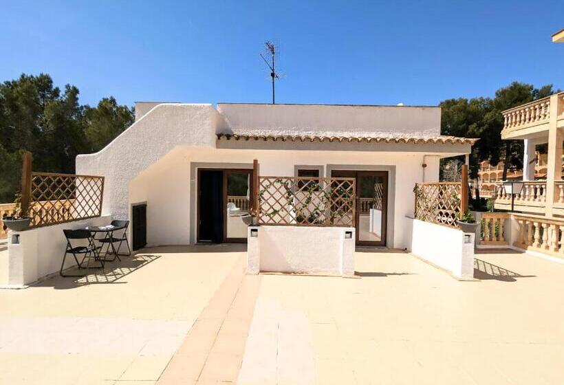 مسافرخانه Don Carlos