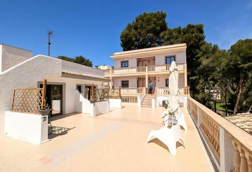 مسافرخانه Don Carlos