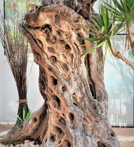 مسافرخانه Don Carlos