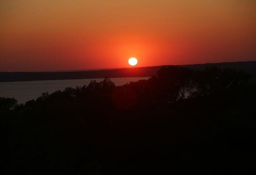 مسافرخانه Maysi