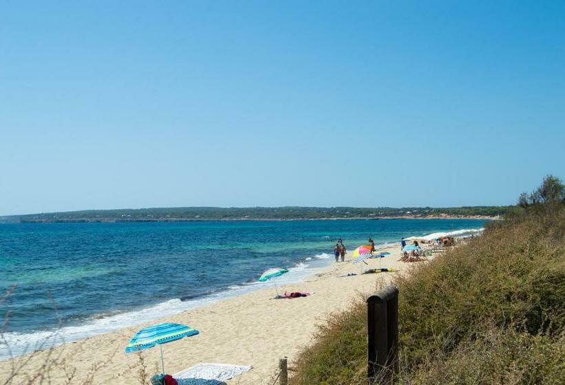 مسافرخانه Sol Y Mar