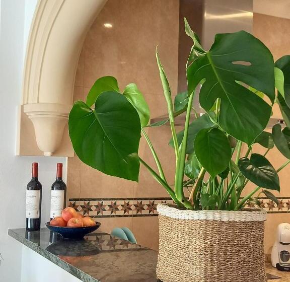 هتل Nou Can Guillem