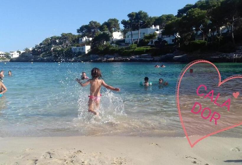 هتل Boutique Hostal Mistral