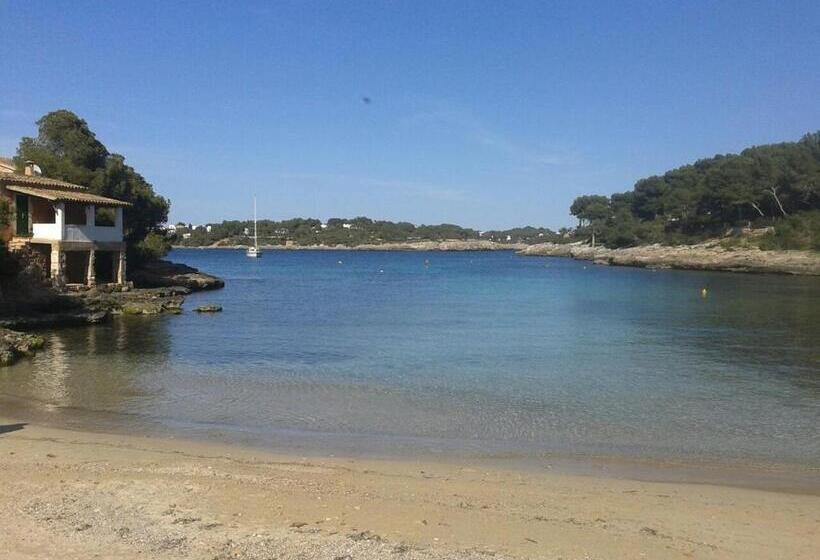 هتل Boutique Hostal Mistral