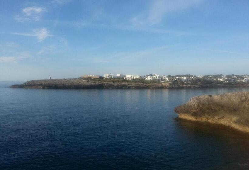 هتل Boutique Hostal Mistral