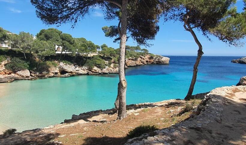 هتل Boutique Hostal Mistral