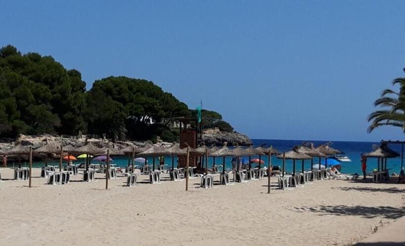 هتل Boutique Hostal Mistral