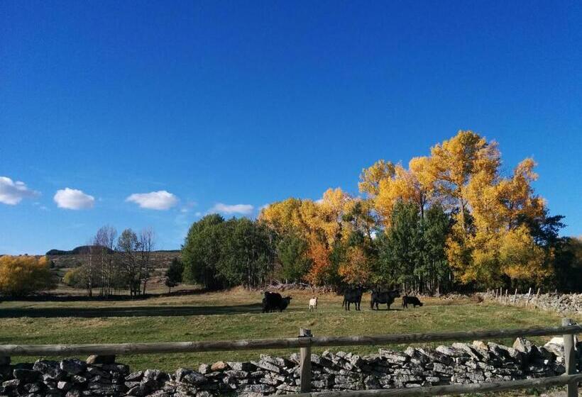 Отель Hostal Refugio De Gredos