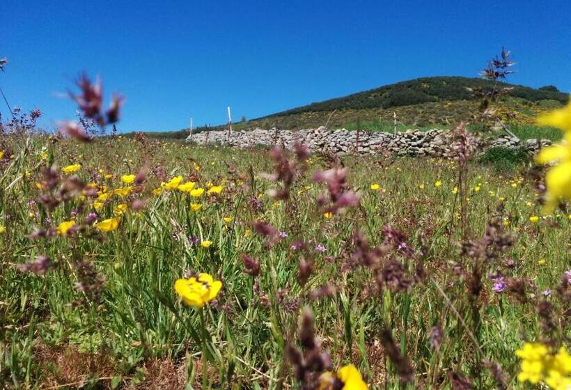 Отель Hostal Refugio De Gredos