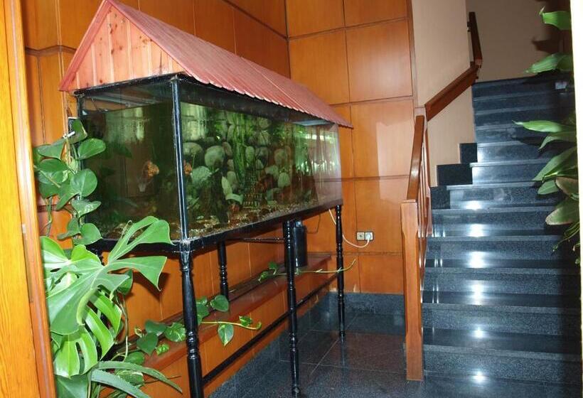 هتل Francisco Javier