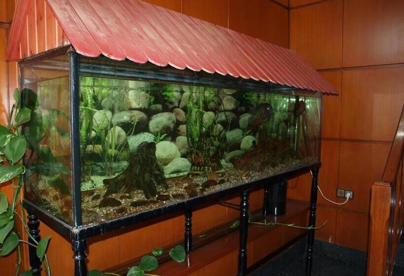 هتل Francisco Javier