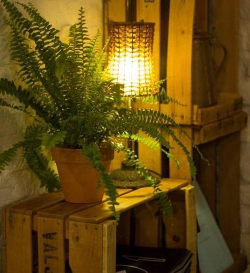 فندق Hostal Alcántara