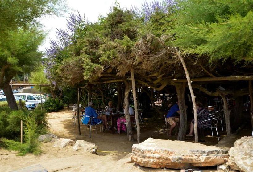 בית מלון כפרי Hostal Alocs