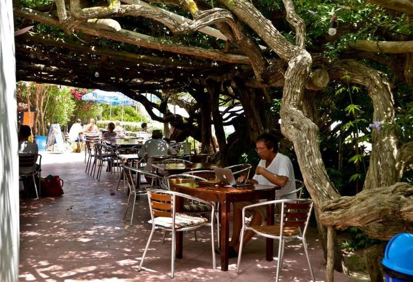 בית מלון כפרי Hostal Alocs