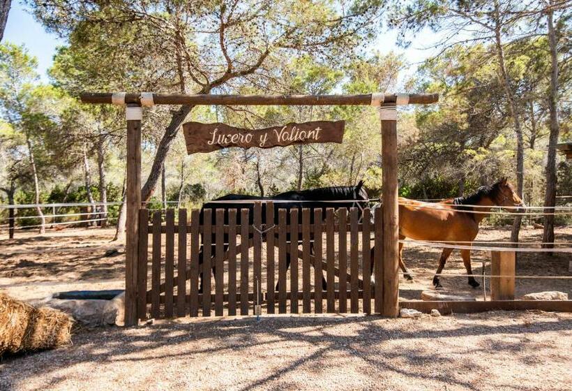 ホテル Hostal Cala Boix