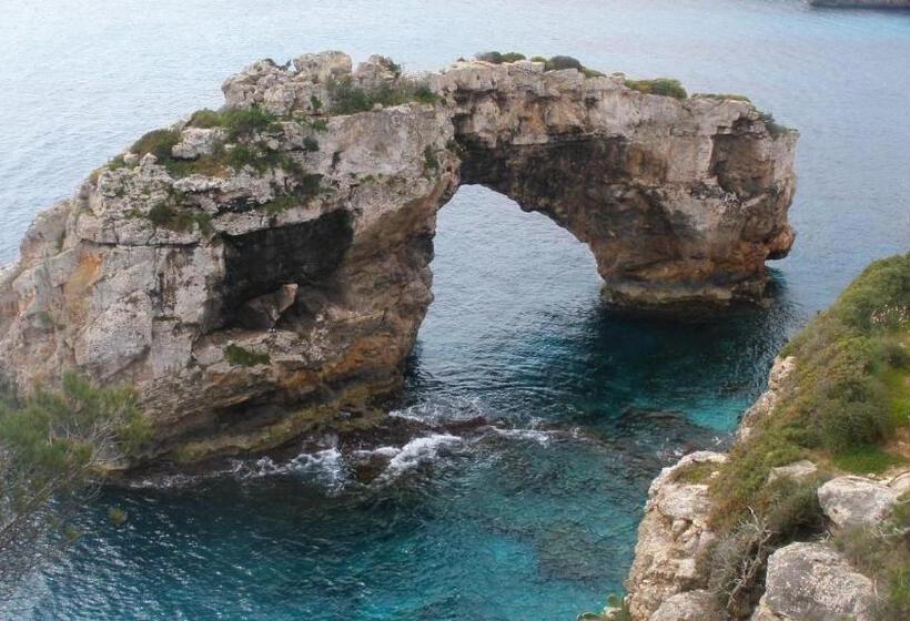 هتل Hostal Can Jordi