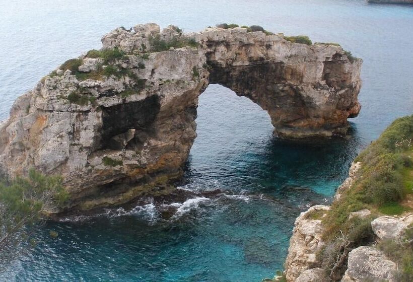 هتل Hostal Can Jordi