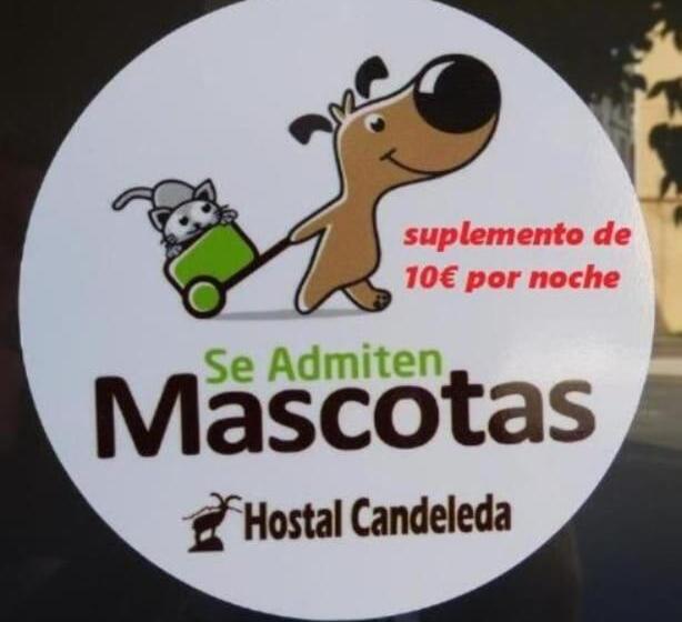 فندق Hostal Candeleda