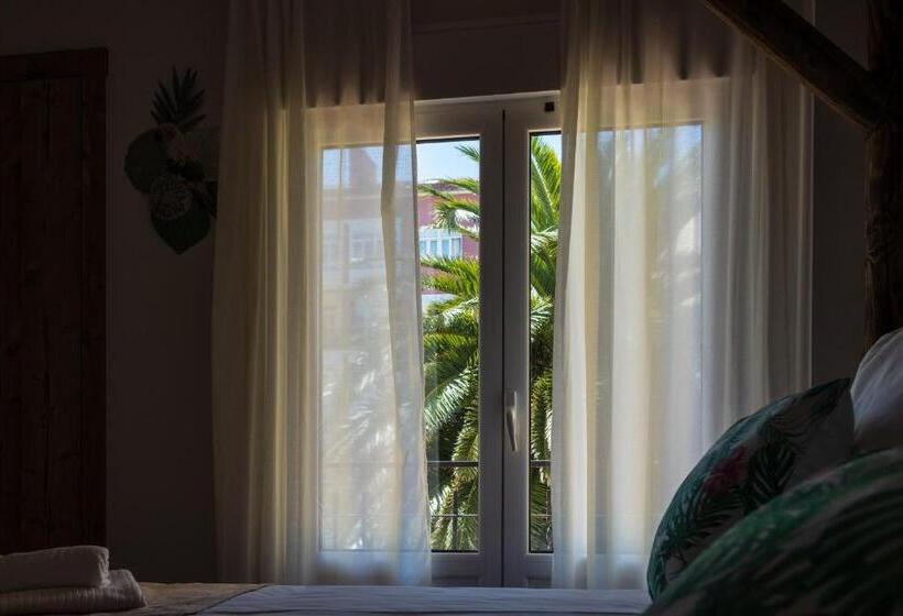 酒店 Hostal Chelsea