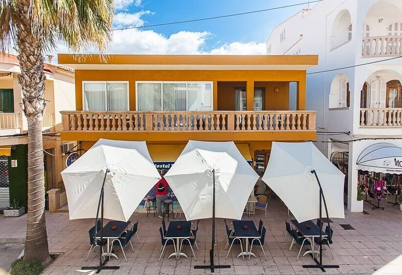 酒店 Hostal Doris Adults Only