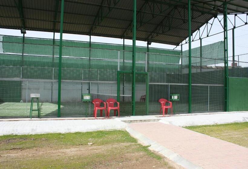 호텔 Hostal El Palomar