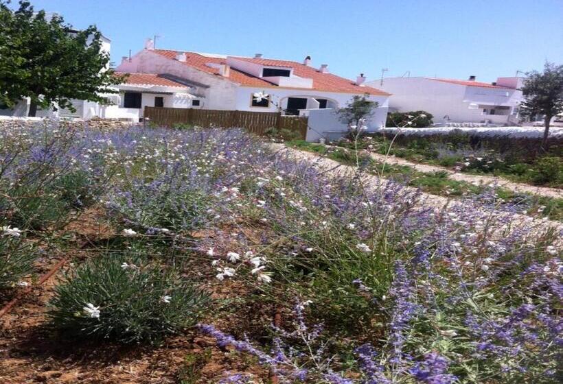 호텔 Hostal La Palma