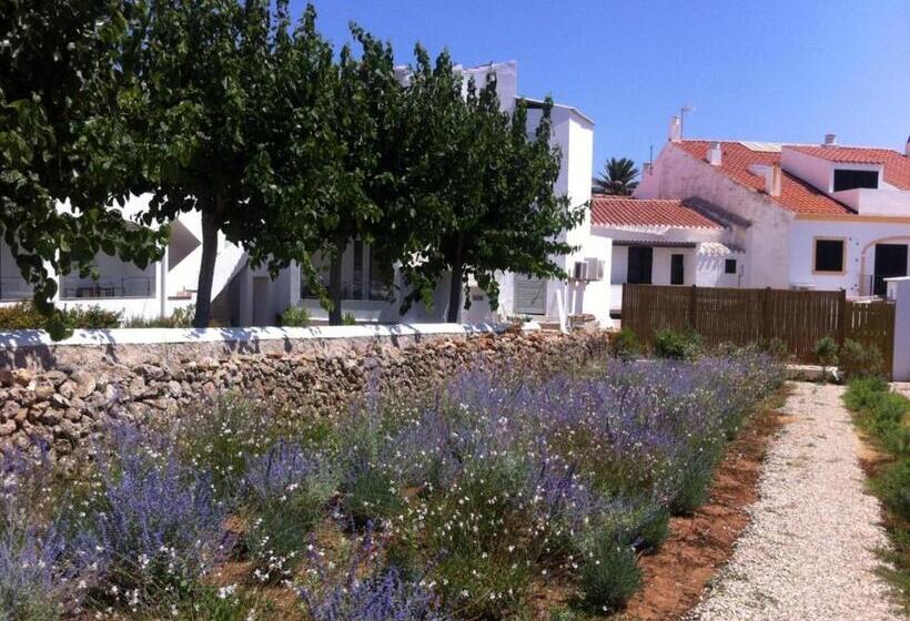 호텔 Hostal La Palma