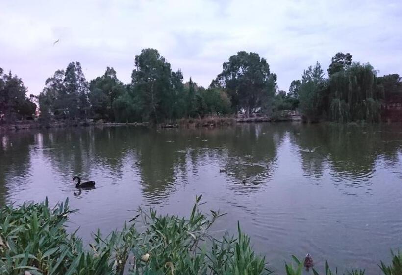 ホテル Hostal Restaurante Rufino