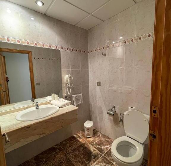 酒店 Hostal Rosaleda