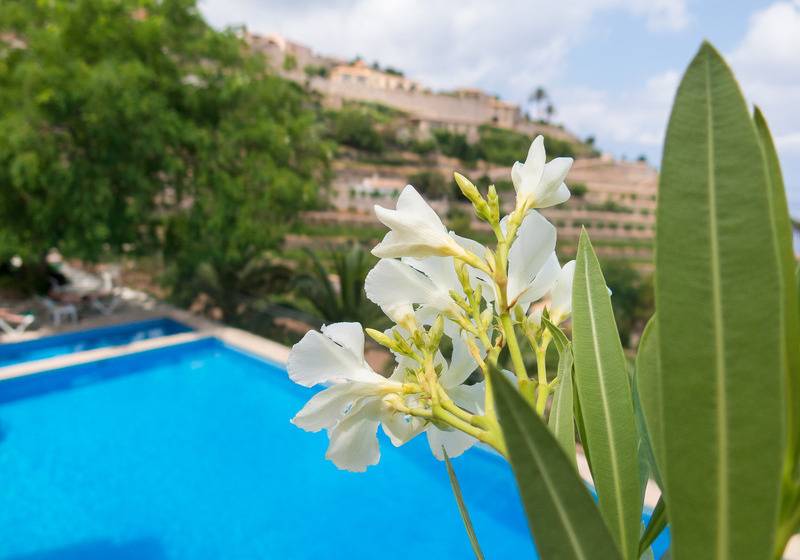 ホテル Hostal Sa Baronia